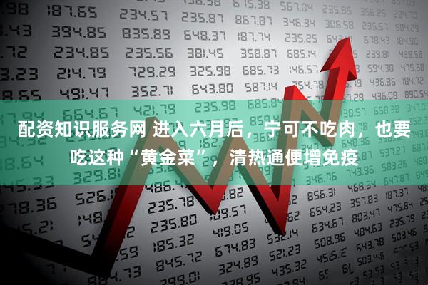 配资知识服务网 进入六月后，宁可不吃肉，也要吃这种“黄金菜”，清热通便增免疫