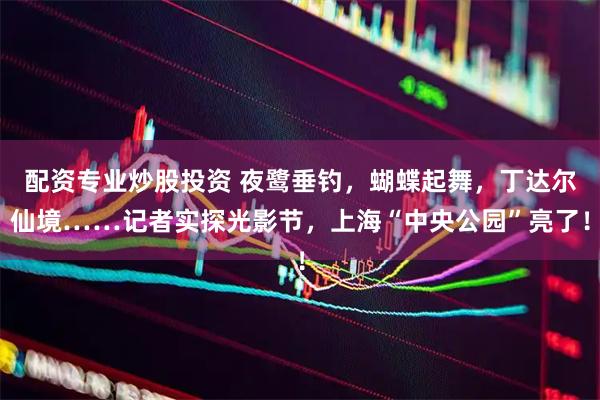 配资专业炒股投资 夜鹭垂钓，蝴蝶起舞，丁达尔仙境……记者实探光影节，上海“中央公园”亮了！